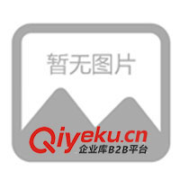 供應各種電池片彈簧、電池片、電池彈簧(圖)